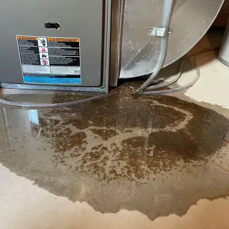 Appliance Leak Cleanup in Frederick County, MD